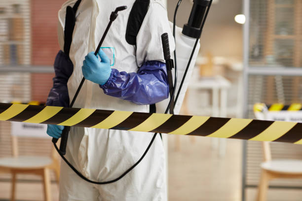 Professional Infectious Disease Decontamination technician working in Osteen, FL