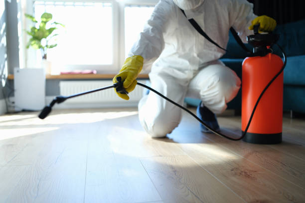 Trusted Sewage Cleanup service in Osteen, FL - Four Month Blood Cleanse